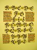 003_Ann_Rabinovitz (384x512, 71.0 kilobytes)