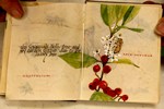 022_Maggie_Gillikin (768x512, 87.9 kilobytes)