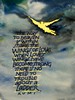 008_Chris_Orsolini (448x600, 91.5 kilobytes)